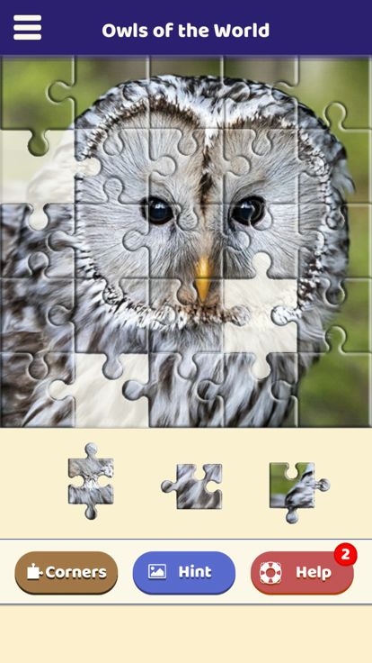 Owls of the World Puzzle游戏截图