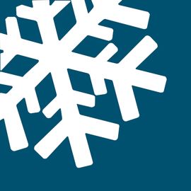 Iceflake Studios, Ltd