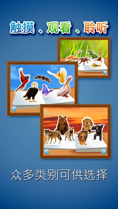 动物园的动物们游戏截图