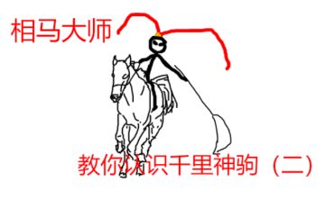 相马大师教你慧眼识宝驹（二）