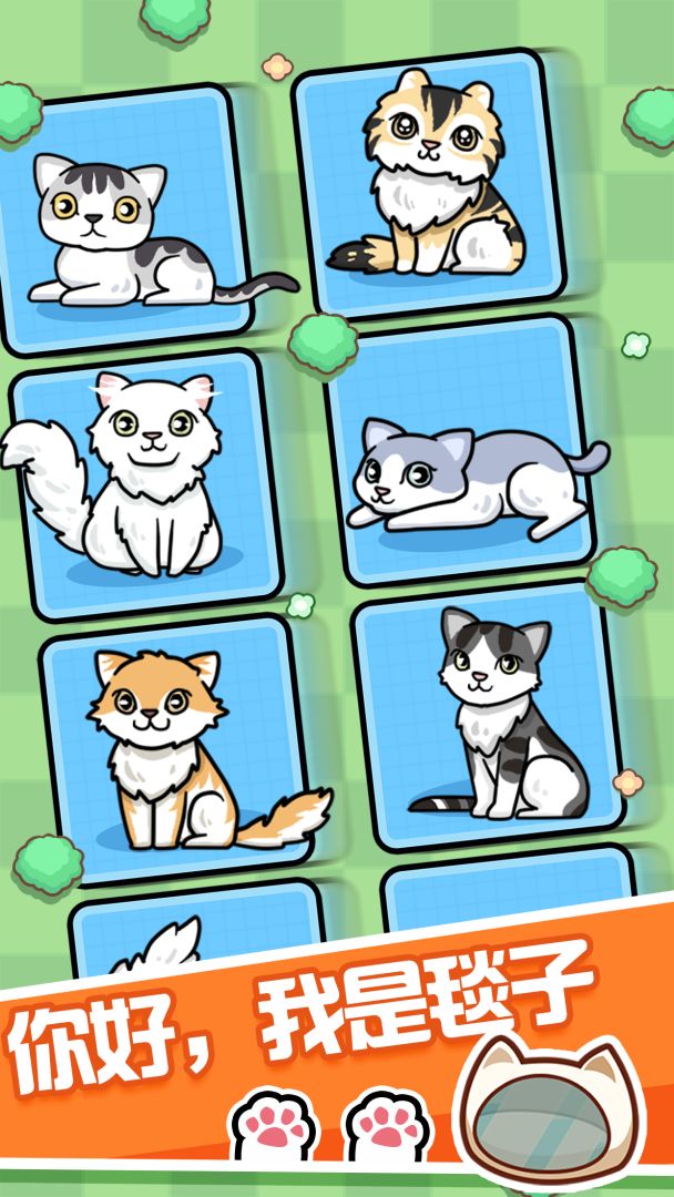 跑跑云养猫(测试版)游戏截图