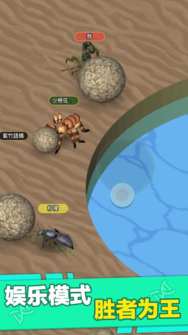 昆虫进化大乱斗游戏截图