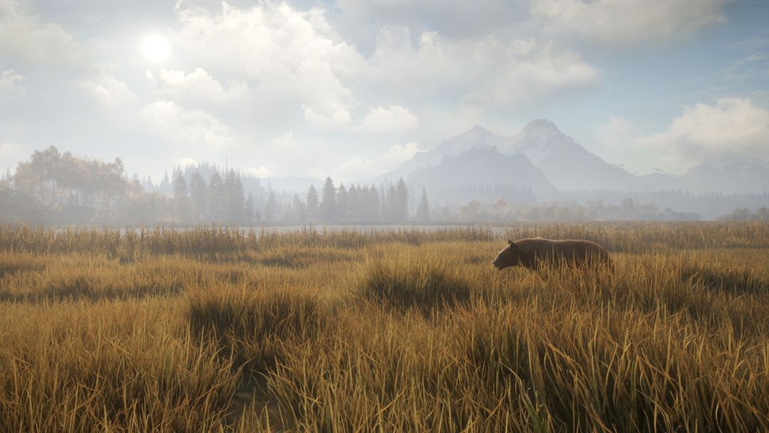 荒野的召唤游戏截图