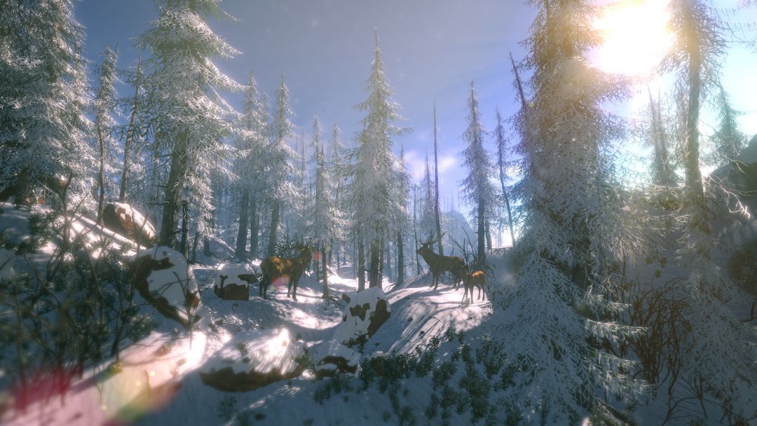 FlowScape游戏截图