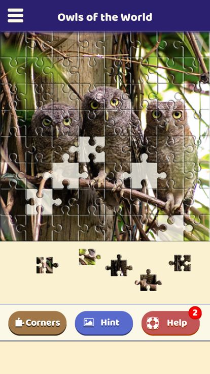 Owls of the World Puzzle游戏截图