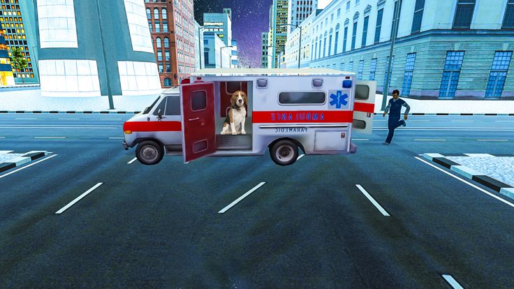 Animal Shelter 3D Safari Zoo游戏截图