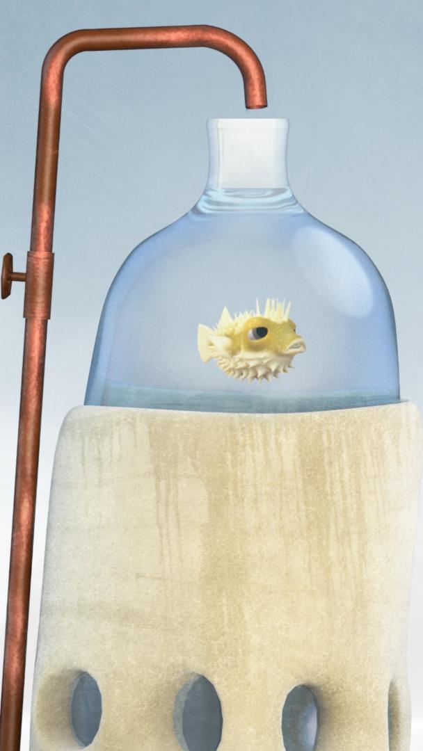 行走的老鲸鱼游戏截图