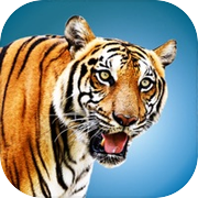 Wild Tiger Hunting Animal Lifeicon