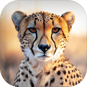 獵豹模擬器野生家族icon