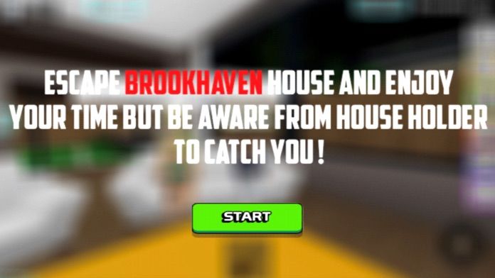 Brookhaven Game游戏截图