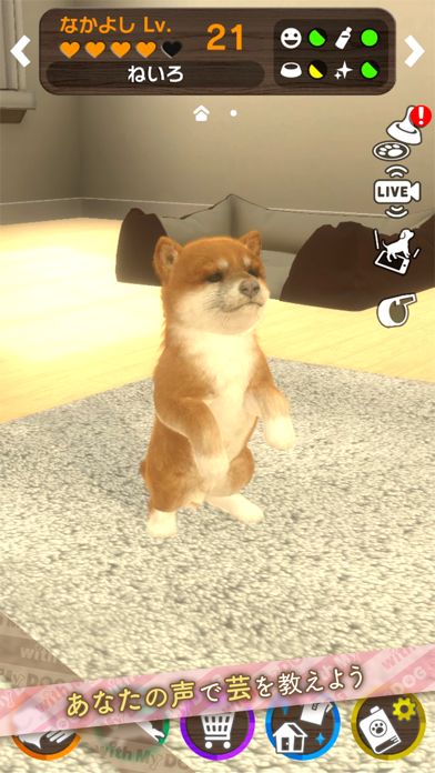 with My DOG - 犬とくらそう -游戏截图