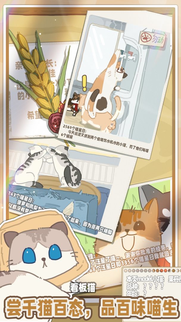 喵星来信游戏截图