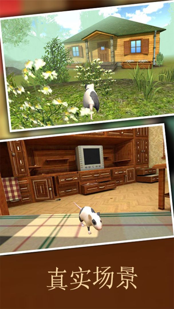 疯狂地鼠3d模拟游戏截图