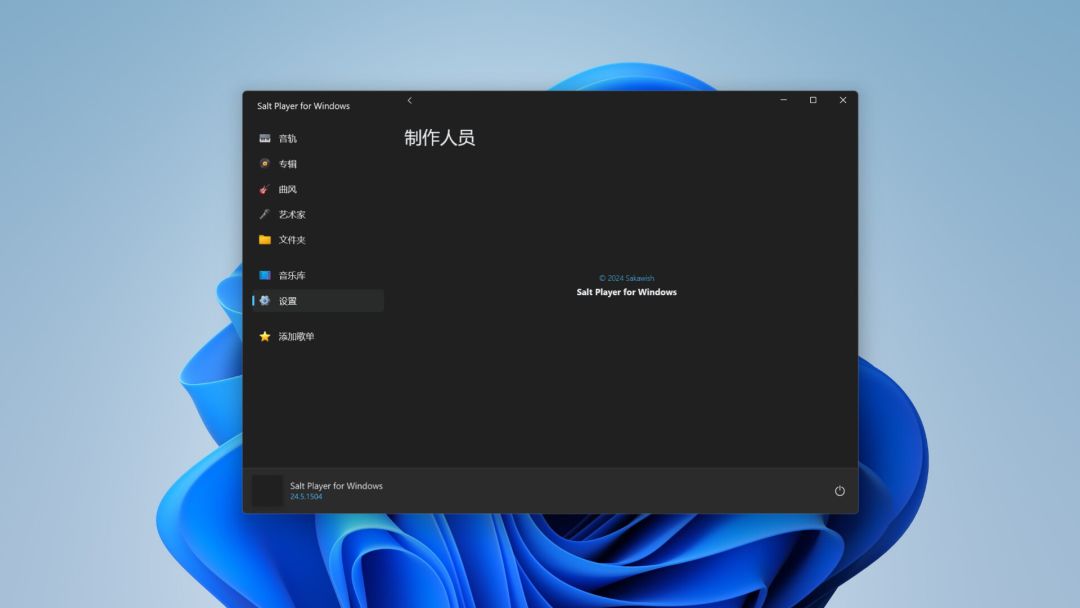 Salt Player for Windows游戏截图