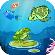 Splashy Turtle & Jumpy Frog