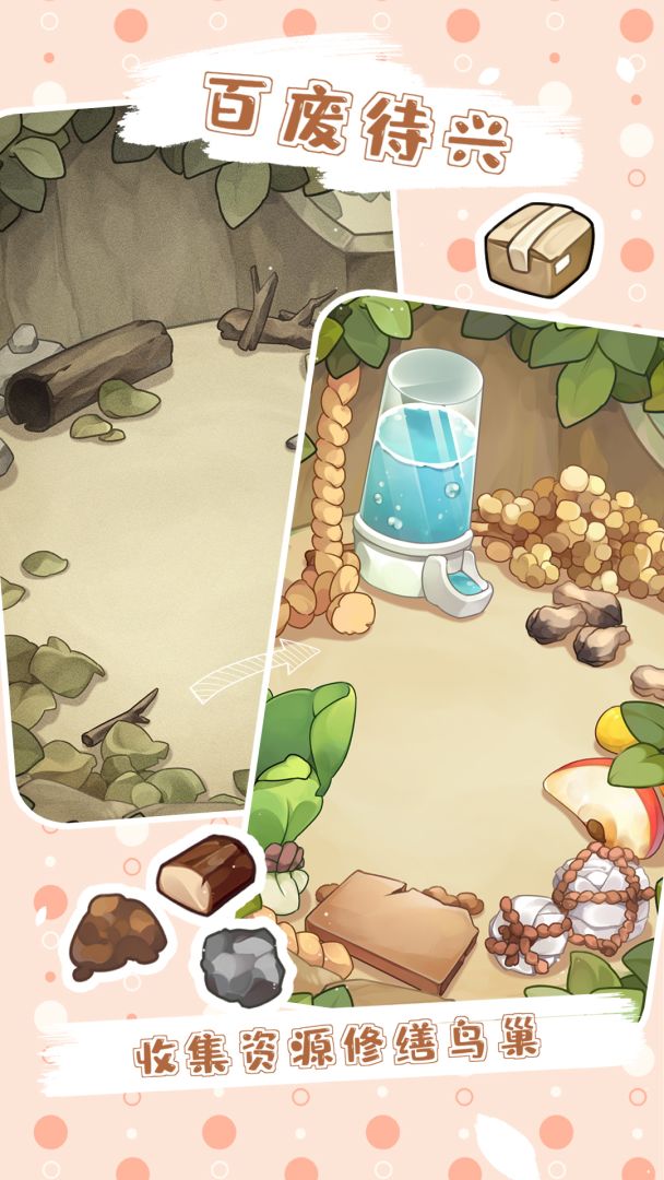 鸟鸟团团游戏截图
