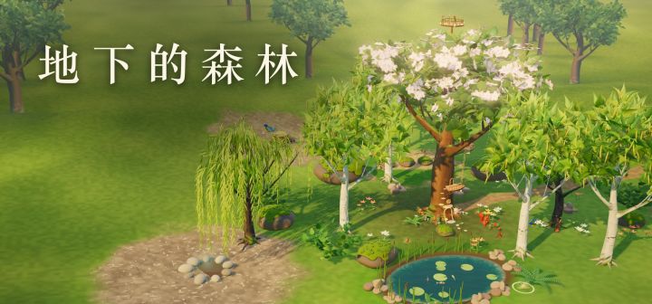 地下的森林 封面