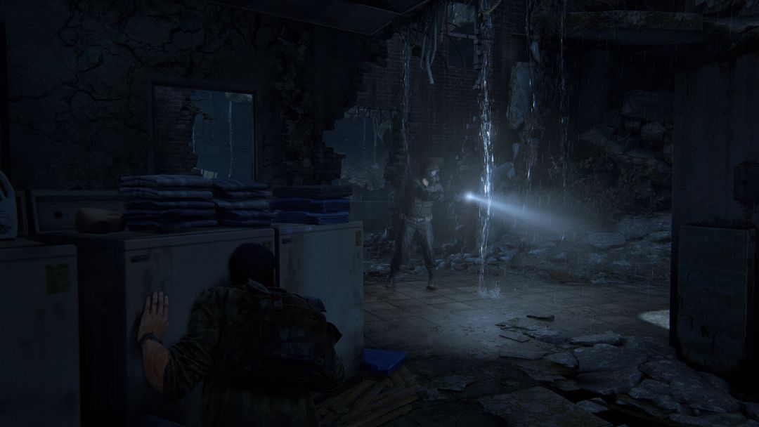 最后的生还者游戏截图