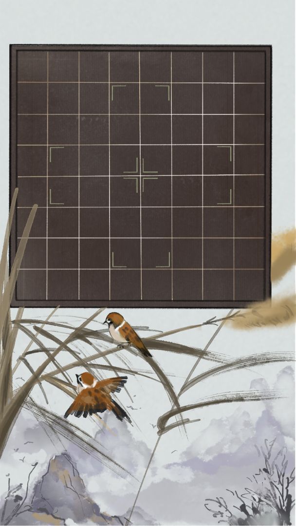 四季棋盘游戏截图
