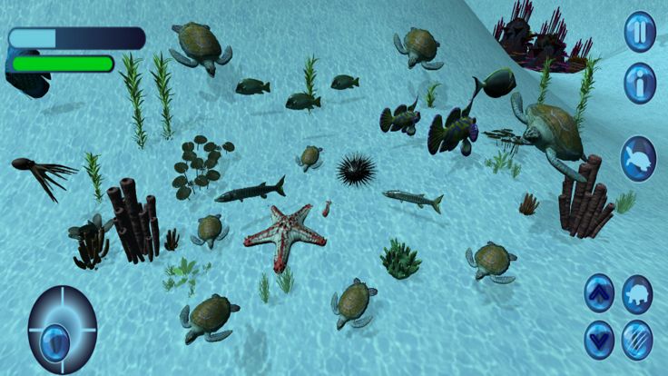 Ocean Little Turtle Simulator游戏截图