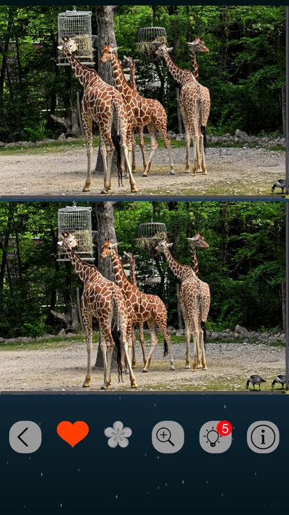 找不同 - 一起来找茬游戏截图