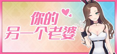 你的另一个老婆 封面