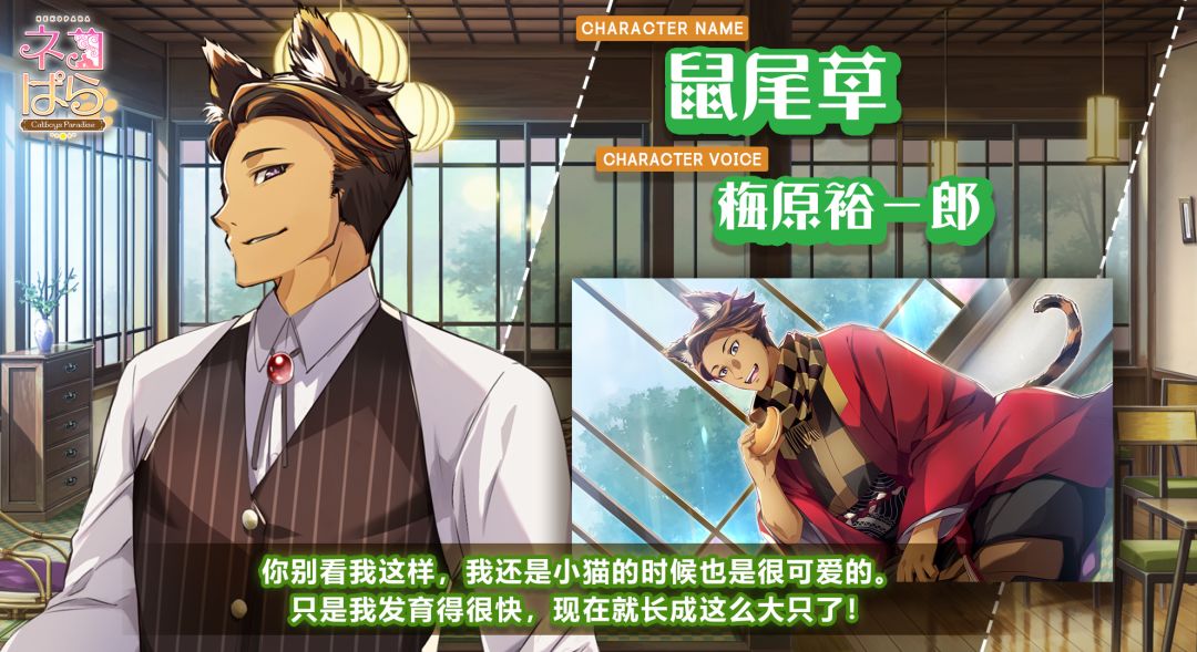 猫郎乐园 - Catboys Paradise游戏截图