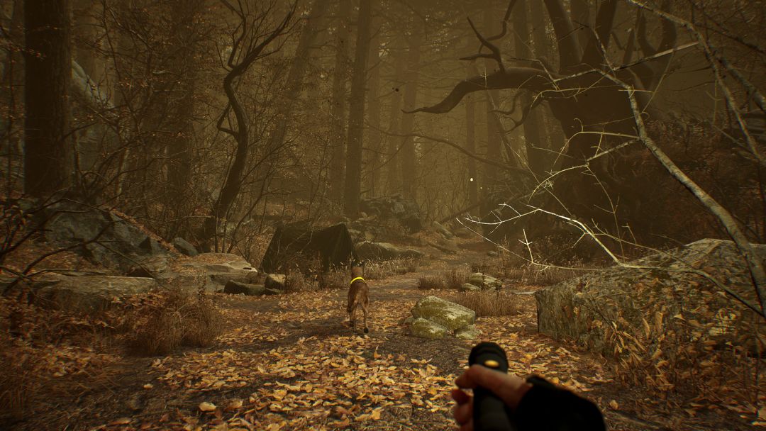 Blair Witch VR游戏截图