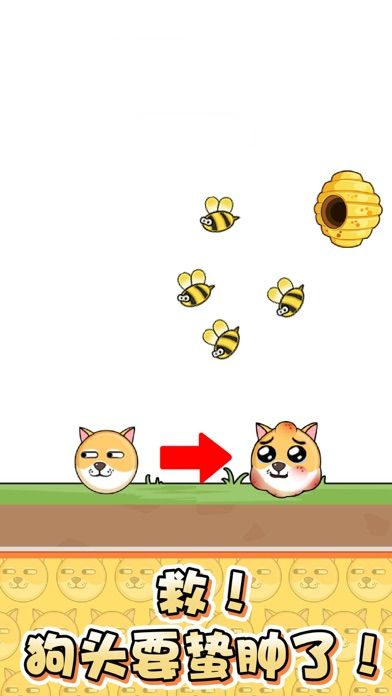 我的狗狗—狗头肿了么游戏截图