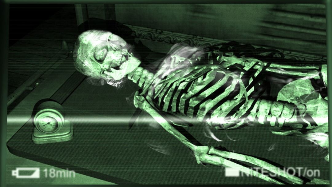 The Lost Crown游戏截图