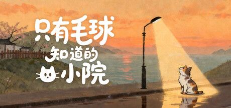 只有毛球知道的小院
