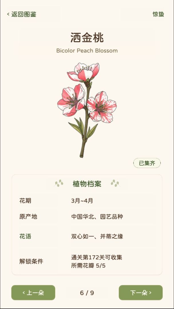 花之森林游戏截图