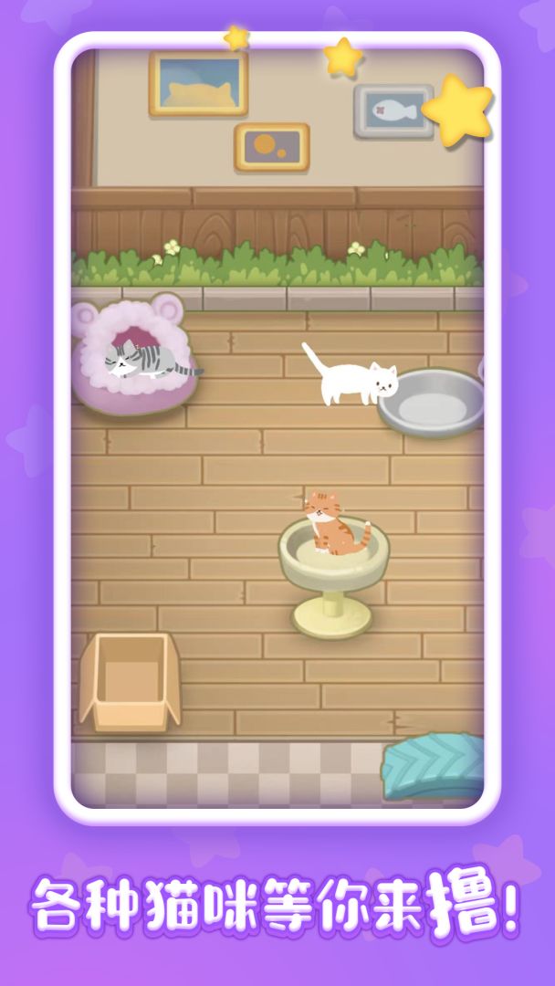 有间猫咪小院游戏截图