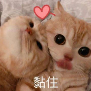 【已开奖】《蛋仔派对》“圆宇宙共建服”有奖征集活动来啦，超萌蛋仔周边已安排！