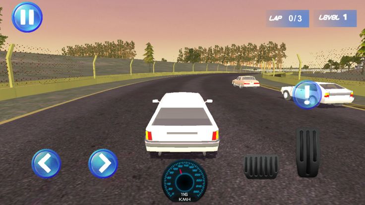 Ultimate Drift Pro游戏截图