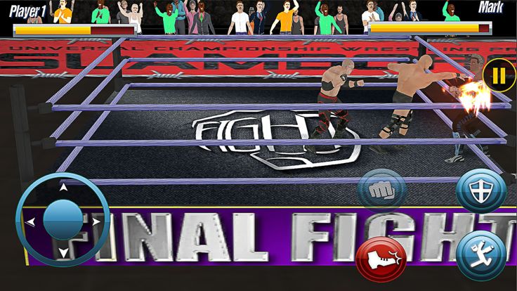 World Wrestling Fighting 2020游戏截图