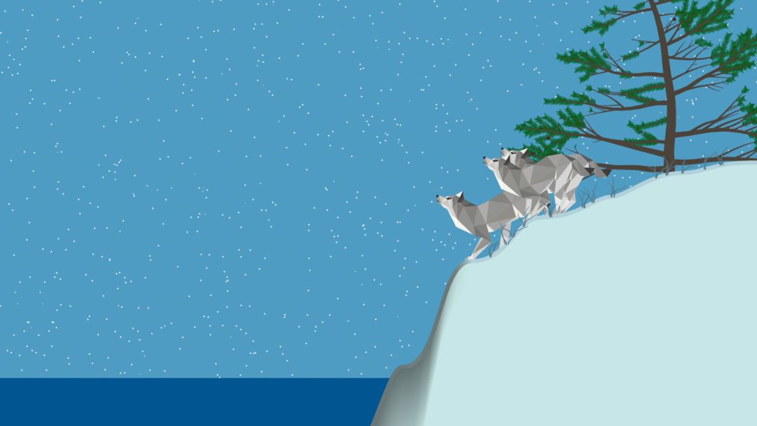 小松林 PolyPine游戏截图