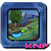 Rescue The Birds Escapeicon