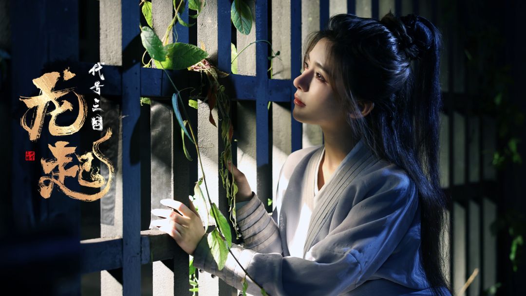 代号三国：龙起游戏截图