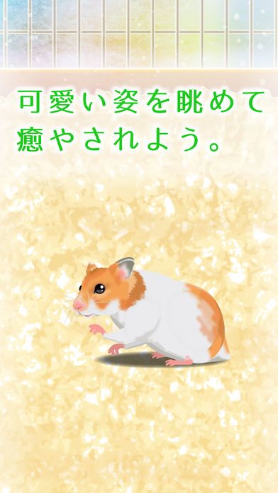 Hamster Game Free游戏截图