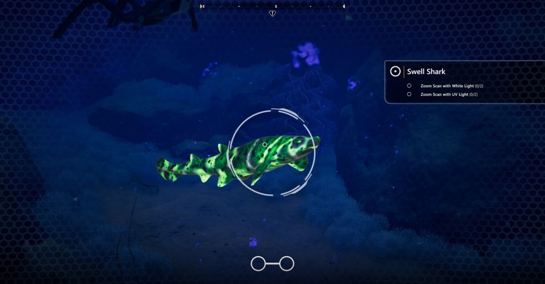 Beyond Blue游戏截图