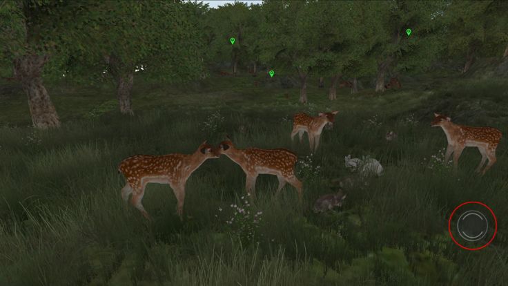 Life Of Deer Remastered游戏截图