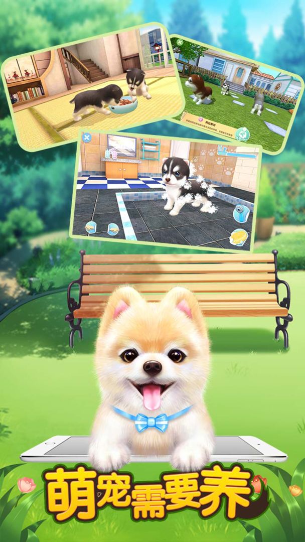 萌宠需要养游戏截图