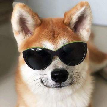 明天直播 | 汪道夫携手策划又要开直播啦！