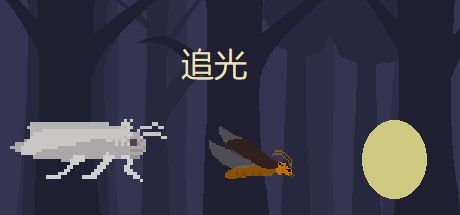 追光 封面