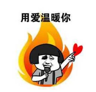 晨昏之地宠物遍地，你最喜欢哪一只？