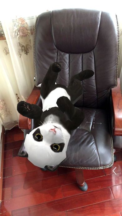 类人猫游戏截图