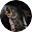 DYING: Rebornicon
