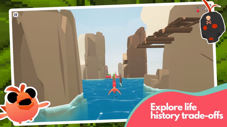 Hungry Birds 2游戏截图