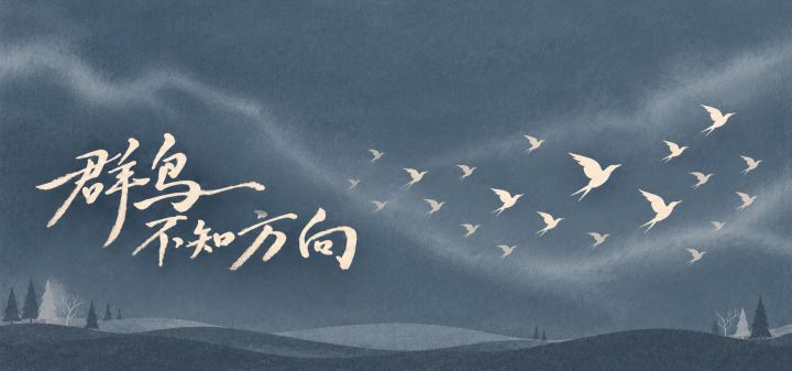 群鸟不知方向 封面